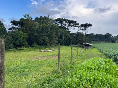 Terreno, 2 hectares - Foto 1