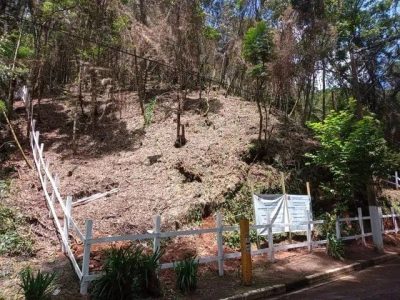 Terreno, 1000 m² - Foto 2