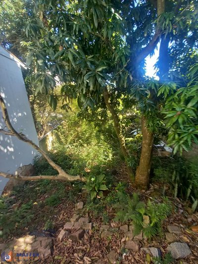 Casa, 2 quartos, 150 m² - Foto 3