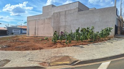 Loteamento e Condomínio, 150 m² - Foto 3