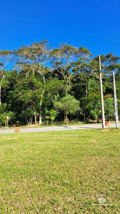 Terreno, 539 m² - Foto 3