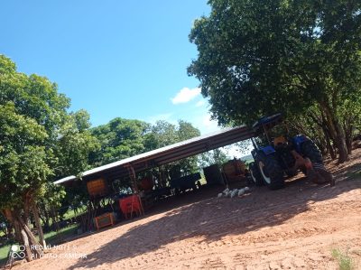 Fazenda, 10000 m² - Foto 3