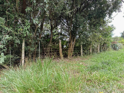 Terreno, 453 m² - Foto 3