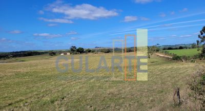 Fazenda, 133 hectares - Foto 1