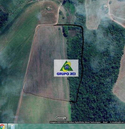 Terreno, 16 hectares - Foto 4