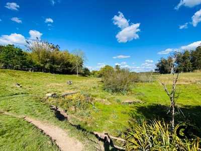 Sítio, 3 quartos, 3 hectares - Foto 4