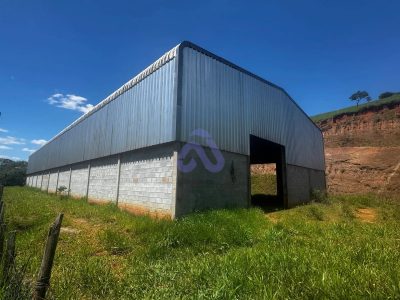 Depósito-Galpão, 1000 m² - Foto 2