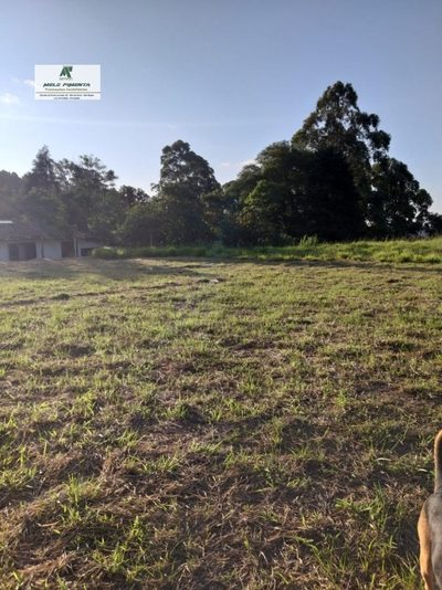 Terreno, 2000 m² - Foto 3