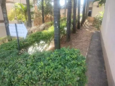 Apartamento, 3 quartos, 80 m² - Foto 4