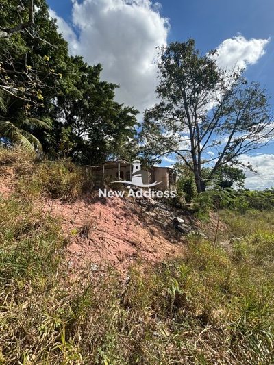 Terreno, 2500 m² - Foto 3