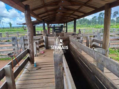 Fazenda, 340 hectares - Foto 3