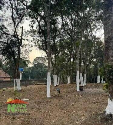 Terreno, 1751 m² - Foto 4