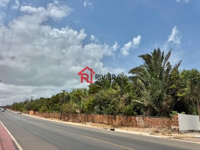 Terreno, 11 hectares - Foto 4