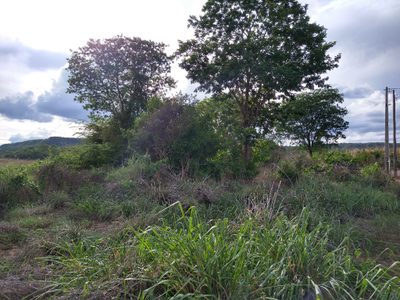 Chácara - Foto 3