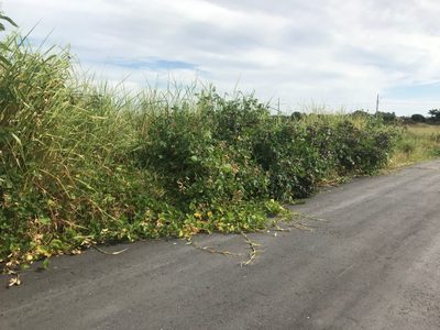 Terreno, 125 m² - Foto 1