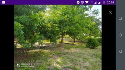 Chácara, 3 quartos, 2900 m² - Foto 3