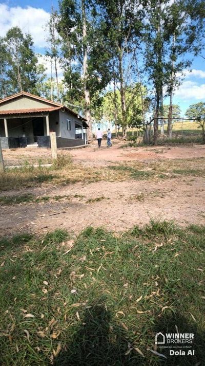 Fazenda, 2000 hectares - Foto 4