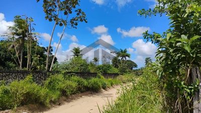 Terreno, 46 hectares - Foto 1
