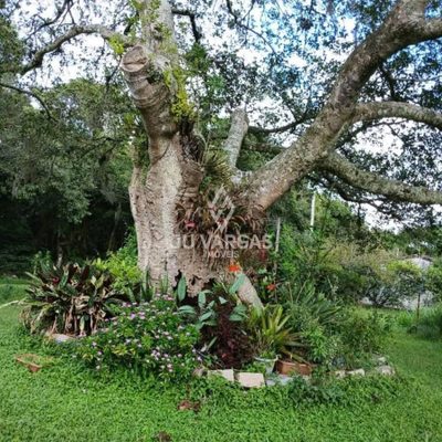 Sítio, 2 quartos, 240 m² - Foto 3