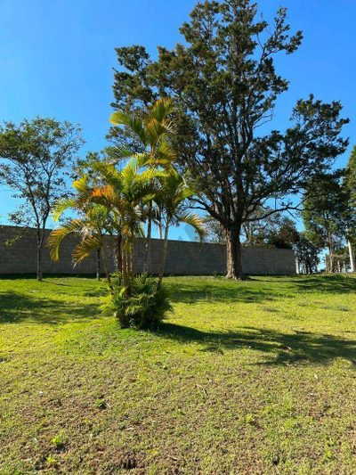 Sítio, 3 quartos, 24 hectares - Foto 4