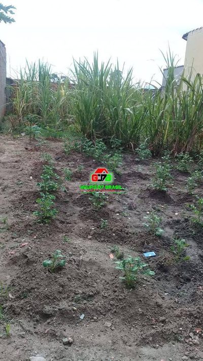 Terreno, 180 m² - Foto 2