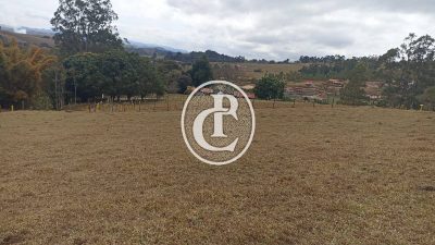 Sítio, 3 quartos, 4 hectares - Foto 3