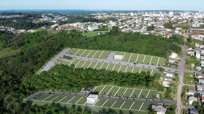 Terreno, 363 hectares - Foto 3