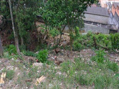 Terreno, 280 m² - Foto 5