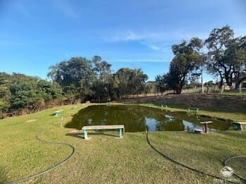Chácara, 2 hectares - Foto 4