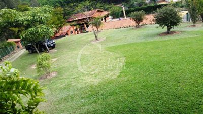 Terreno, 6 hectares - Foto 3