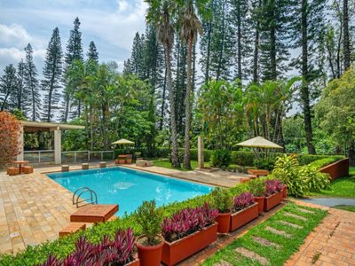 Chácara, 6 quartos, 4800 m² - Foto 3