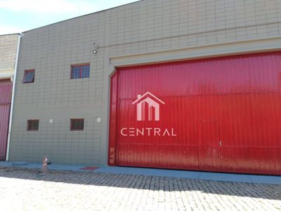 Depósito-Galpão, 1000 m² - Foto 3
