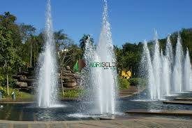Terreno, 79 hectares - Foto 2