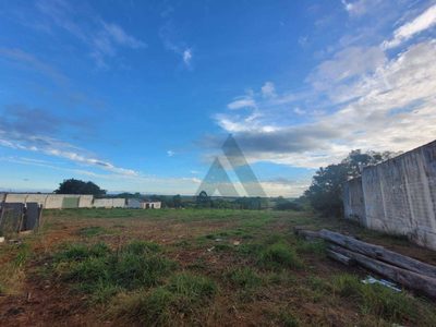 Terreno, 1 hectares - Foto 3