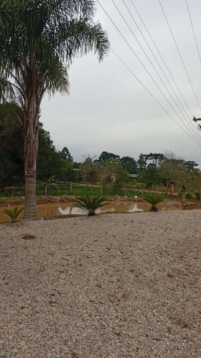Chácara, 3 quartos, 3630 m² - Foto 4