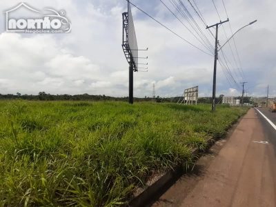 Casa, 200000 m² - Foto 5