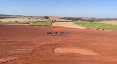 Fazenda, 126 hectares - Foto 3