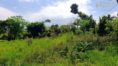 Chácara, 2 hectares - Foto 3