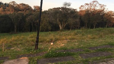 Terreno, 1038 m² - Foto 1