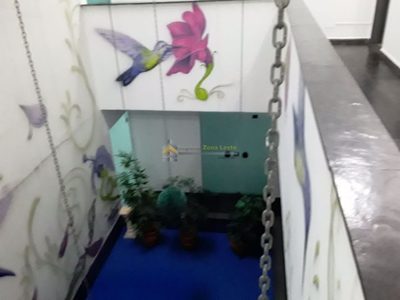 Sala-Conjunto, 40 m² - Foto 3