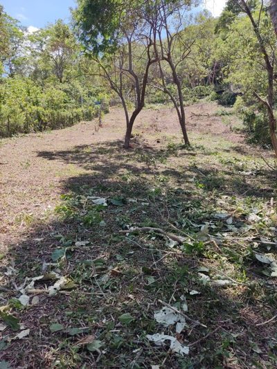 Terreno, 1050 m² - Foto 3
