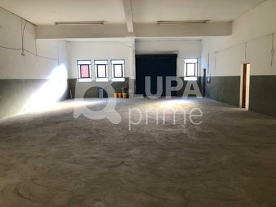 Depósito-Galpão, 1000 m² - Foto 4