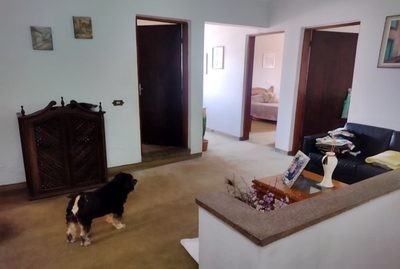 Sobrado, 4 quartos, 500 m² - Foto 3