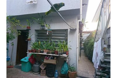 Casa, 4 quartos, 200 m² - Foto 5