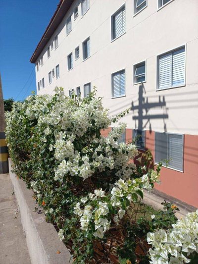 Apartamento, 2 quartos, 66 m² - Foto 1