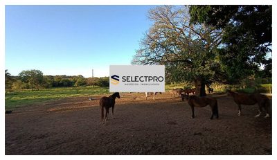 Terreno, 4 hectares - Foto 1