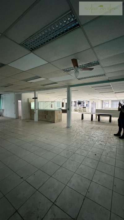 Depósito-Galpão, 3850 m² - Foto 3