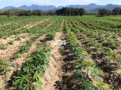 Fazenda, 35 m² - Foto 4
