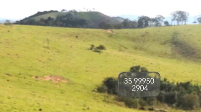 Chácara, 1 quarto, 58 hectares - Foto 1