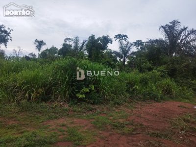 Casa, 2400 m² - Foto 3